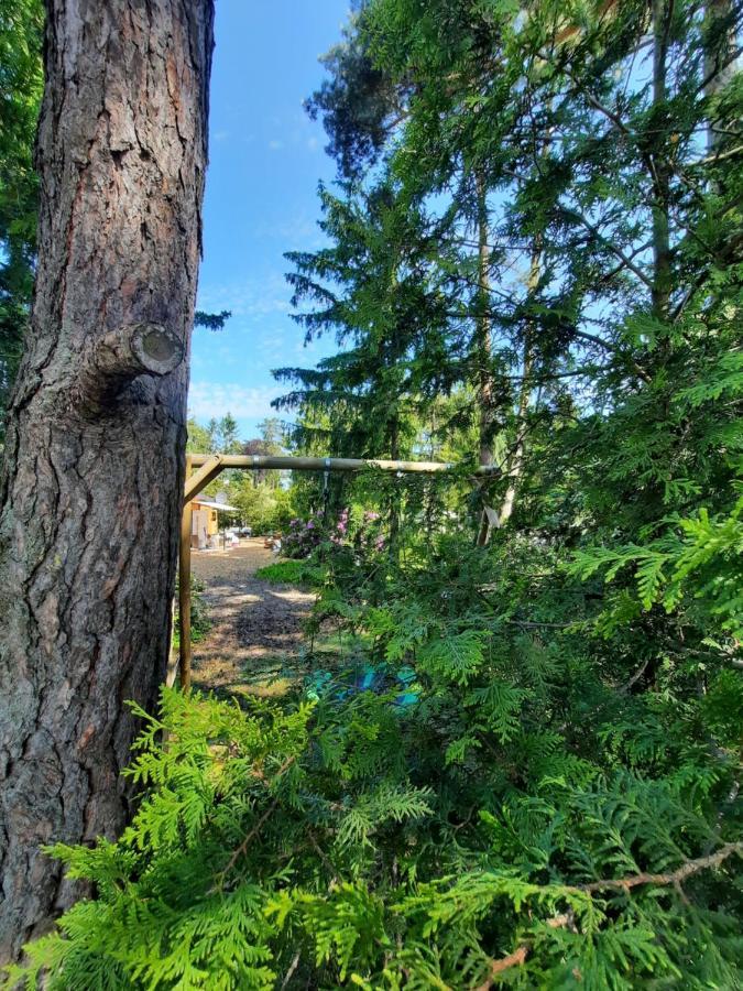 Ferienhaus Leon Mit Sauna Rehburg-Loccum Luaran gambar
