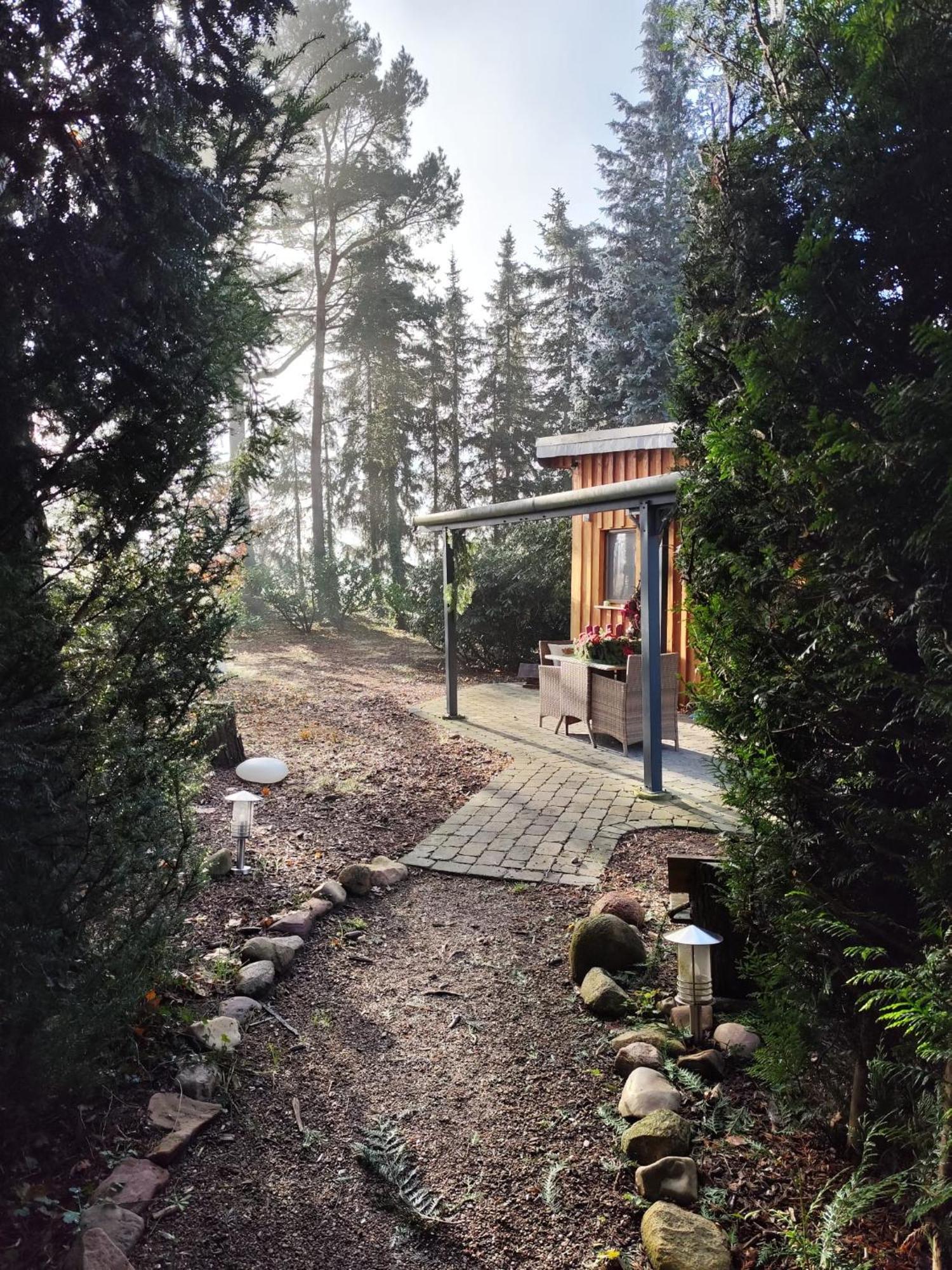 Ferienhaus Leon Mit Sauna Rehburg-Loccum Luaran gambar
